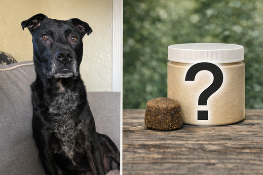 Between Labels and Love